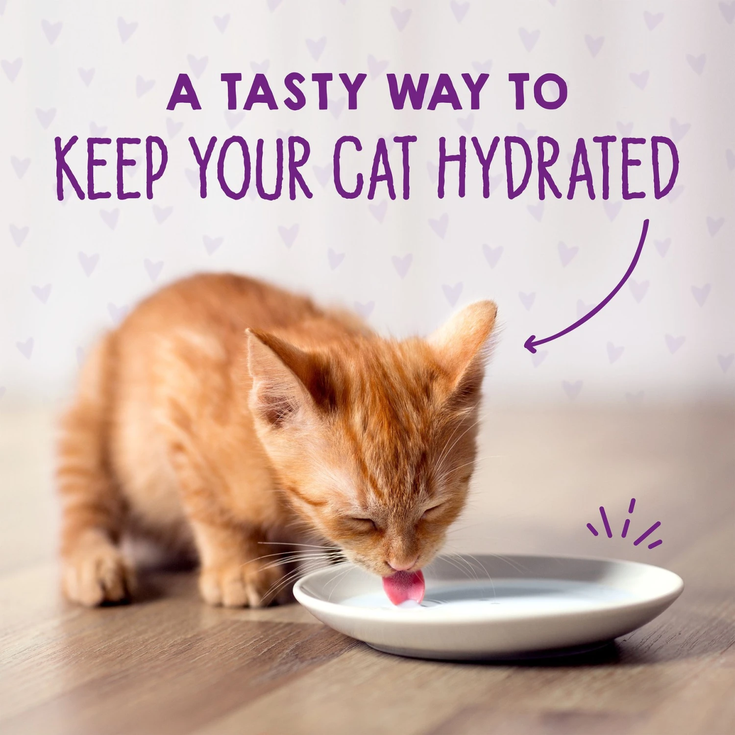 Stella & Chewy's Chicken & Salmon Flavored Pate Kitten Wet Cat Food 10 Stella & Chewy's Chicken & Salmon Flavored Pate Kitten Wet Cat Food - Image 8