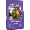 Pinnacle Trout & Pumpkin Dry Dog Food -Blue Buffalo Shop 577230 MAIN. AC SS1800 V1657660545