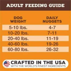 Primal Beef Formula Nuggets Grain-Free Raw Freeze-Dried Dog Food -Blue Buffalo Shop 58371 PT6. AC SS1800 V1677707414
