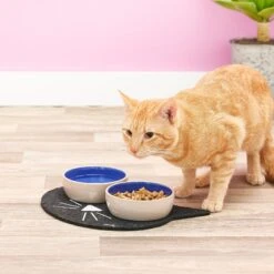 ORE Pet Recycled Rubber Black Cat Face Placemat -Blue Buffalo Shop 58416 PT7. AC SS1800 V1517251258