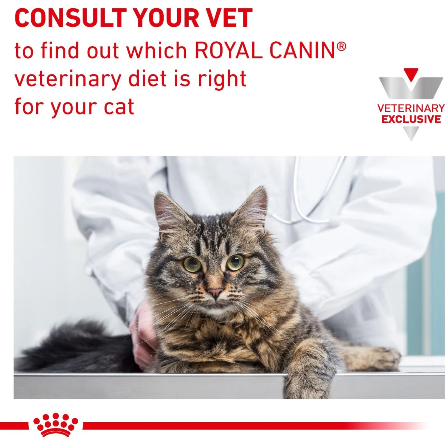 Royal Canin Veterinary Diet Adult Urinary SO Moderate Calorie Morsels In Gravy Canned Cat Food 9 Royal Canin Veterinary Diet Adult Urinary SO Moderate Calorie Morsels In Gravy Canned Cat Food - Image 7