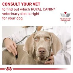 Royal Canin Veterinary Diet Adult Hepatic Loaf Canned Dog Food -Blue Buffalo Shop 58624 PT8. AC SS1800 V1691702091