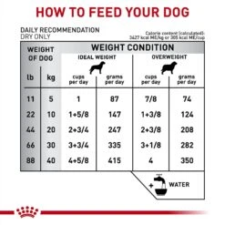 Royal Canin Veterinary Diet Adult Gastrointestinal Moderate Calorie Dry Dog Food -Blue Buffalo Shop 58686 PT6. AC SS1800 V1691506494