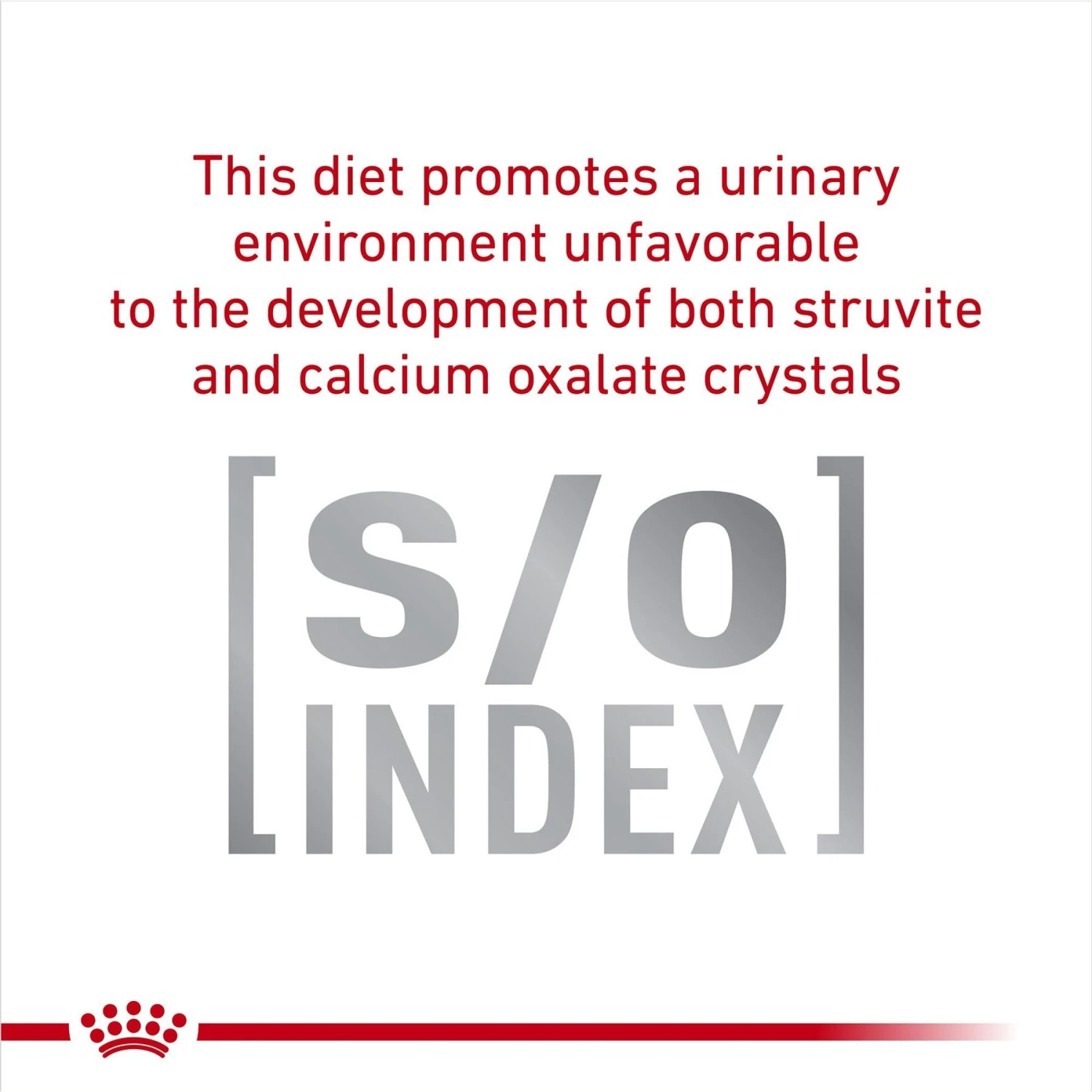 Royal Canin Veterinary Diet Adult Glycobalance Thin Slices In Gravy Canned Cat Food 6 Royal Canin Veterinary Diet Adult Glycobalance Thin Slices In Gravy Canned Cat Food - Image 4