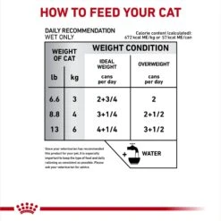 Royal Canin Veterinary Diet Adult Glycobalance Thin Slices In Gravy Canned Cat Food 16 Royal Canin Veterinary Diet Adult Glycobalance Thin Slices In Gravy Canned Cat Food -Blue Buffalo Shop 58701 PT5. AC SS1800 V1694465216