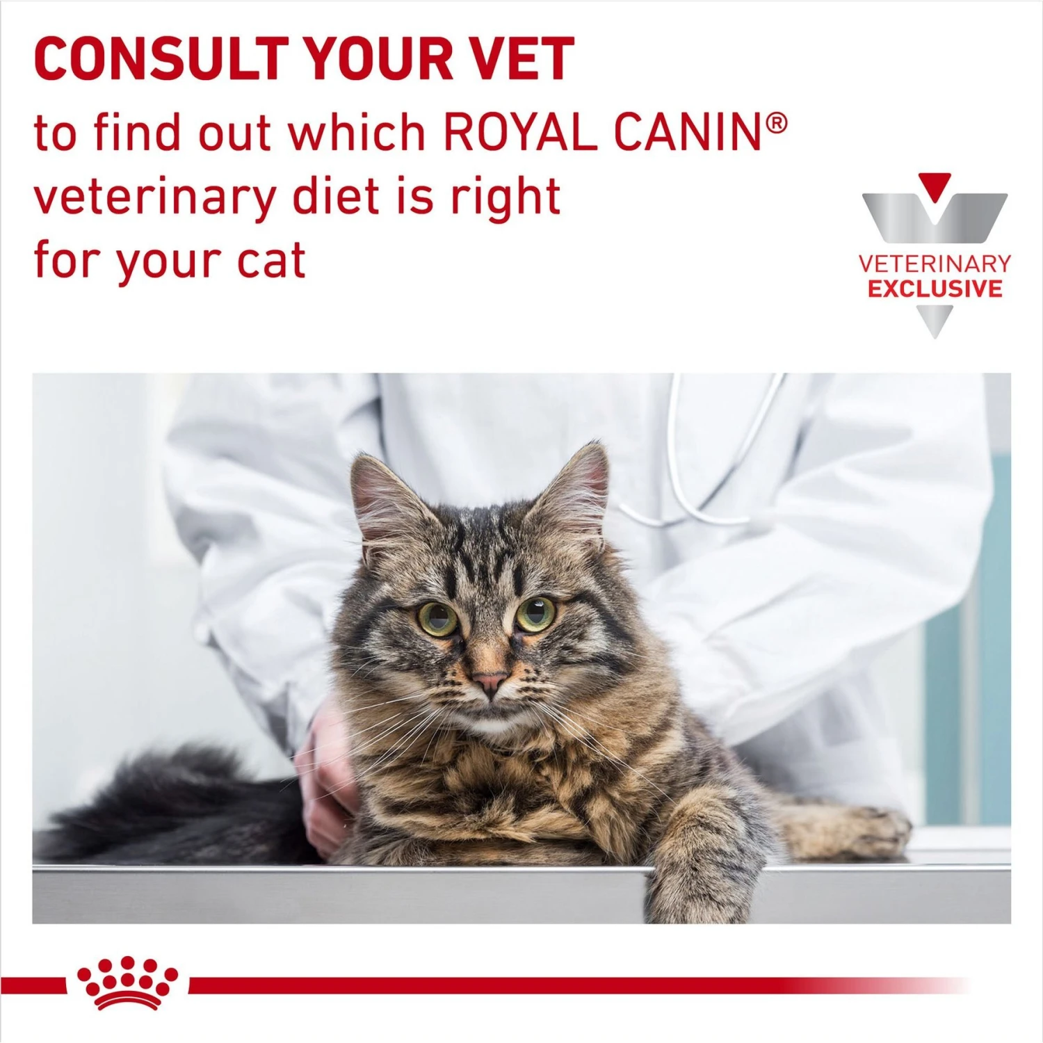 Royal Canin Veterinary Diet Adult Glycobalance Thin Slices In Gravy Canned Cat Food 10 Royal Canin Veterinary Diet Adult Glycobalance Thin Slices In Gravy Canned Cat Food - Image 8