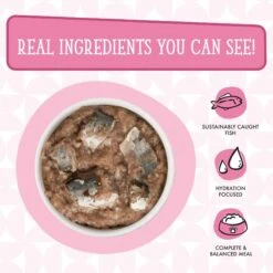 Weruva Cats In The Kitchen Kitty Gone Wild Salmon Au Jus Grain-Free Canned Cat Food 14 Weruva Cats In The Kitchen Kitty Gone Wild Salmon Au Jus Grain-Free Canned Cat Food -Blue Buffalo Shop 58944 PT3. AC SS1800 V1702597958