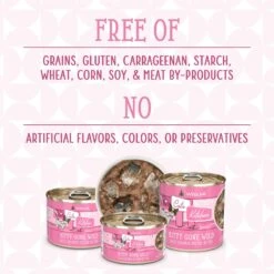 Weruva Cats In The Kitchen Kitty Gone Wild Salmon Au Jus Grain-Free Canned Cat Food 15 Weruva Cats In The Kitchen Kitty Gone Wild Salmon Au Jus Grain-Free Canned Cat Food -Blue Buffalo Shop 58944 PT4. AC SS1800 V1702597958