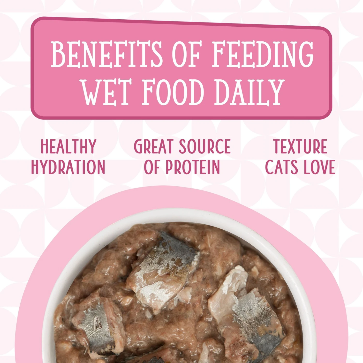 Weruva Cats In The Kitchen Kitty Gone Wild Salmon Au Jus Grain-Free Canned Cat Food 9 Weruva Cats In The Kitchen Kitty Gone Wild Salmon Au Jus Grain-Free Canned Cat Food - Image 7