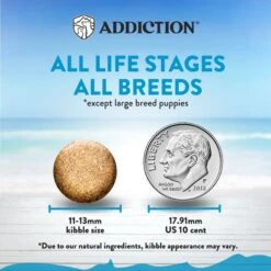 Addiction Grain-Free Salmon Bleu Dry Dog Food -Blue Buffalo Shop 60106 PT3. AC SS1800 V1637714281