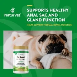 NaturVet No Scoot Plus Pumpkin Powder Digestive Supplement For Dogs -Blue Buffalo Shop 60304 PT3. AC SS1800 V1698697703