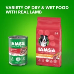 Iams ProActive Health Classic Ground With Lamb & Whole Grain Rice Adult Wet Dog Food -Blue Buffalo Shop 604318 PT8. AC SS1800 V1658187319