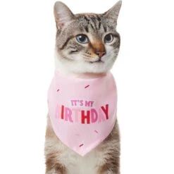 Frisco Dog & Cat Birthday Bandana -Blue Buffalo Shop 608206 PT2. AC SS1800 V1676644511
