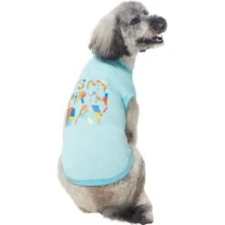 Frisco Birthday Celebration Dog & Cat T-Shirt -Blue Buffalo Shop 608318 PT3. AC SS1800 V1676643253