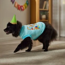 Frisco Birthday Celebration Dog & Cat T-Shirt -Blue Buffalo Shop 608318 PT7. AC SS1800 V1676643247