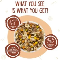 Weruva Wok The Dog With Chicken, Beef & Pumpkin In Gravy Grain-Free Canned Dog Food & Weruva Steak Frites Dinner With Beef, Pumpkin & Sweet Potatoes In Gravy Grain-Free Canned Dog Food -Blue Buffalo Shop 611438 PT4. AC SS1800 V1661530103