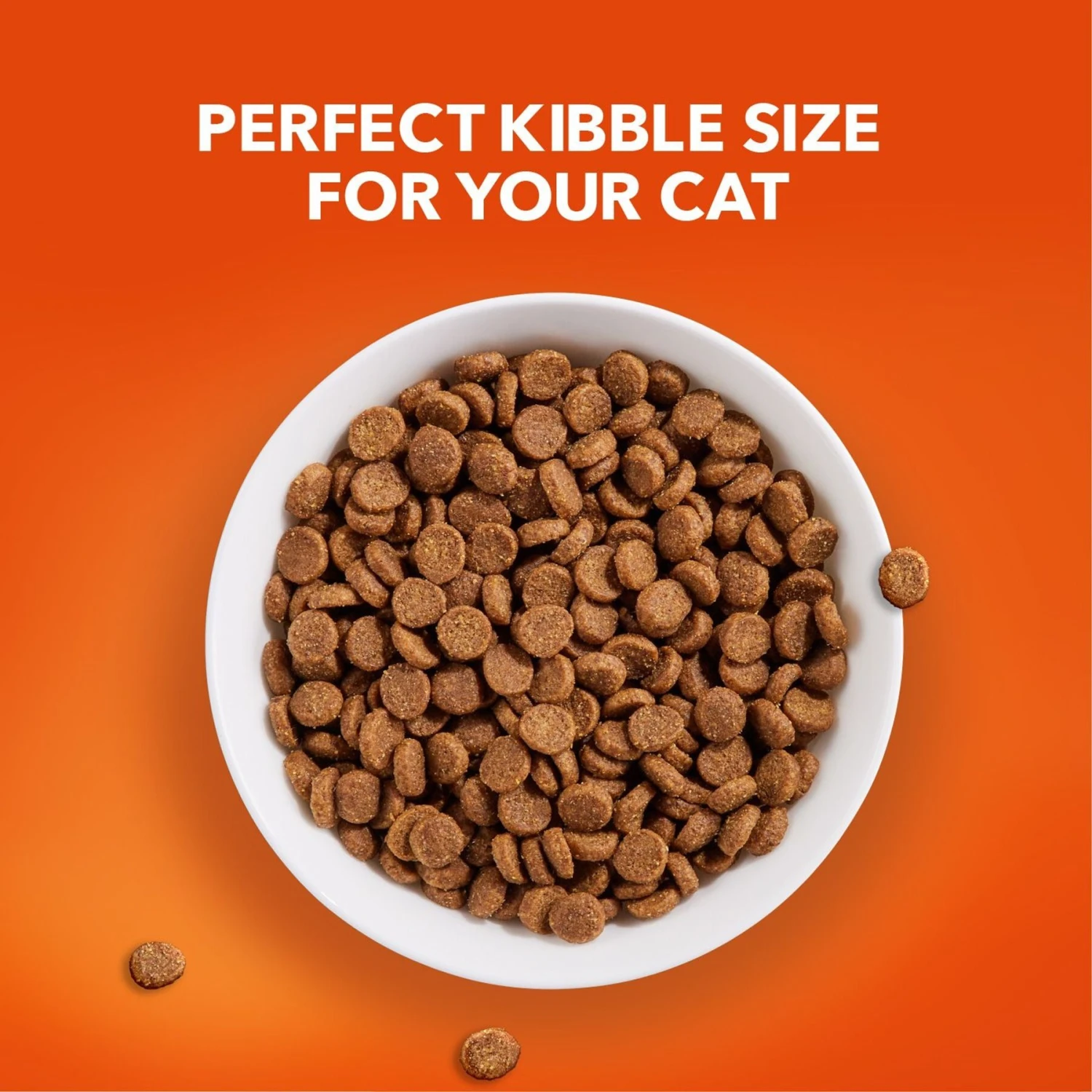 Iams ProActive Health Healthy Senior Dry Cat Food 5 Iams ProActive Health Healthy Senior Dry Cat Food - Image 3