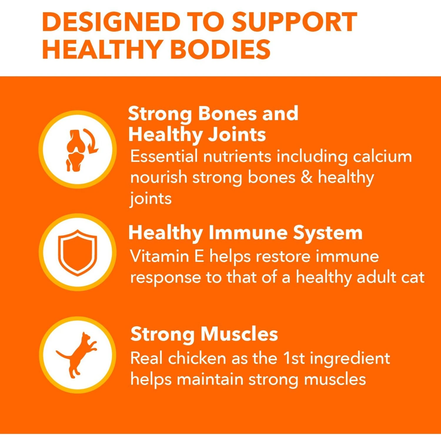 Iams ProActive Health Healthy Senior Dry Cat Food 7 Iams ProActive Health Healthy Senior Dry Cat Food - Image 5