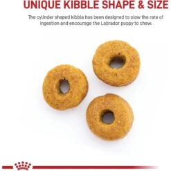 Royal Canin Breed Health Nutrition Labrador Retriever Puppy Dry Dog Food -Blue Buffalo Shop 61486 PT3. AC SS1800 V1697216753