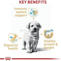 Royal Canin Breed Health Nutrition Labrador Retriever Puppy Dry Dog Food -Blue Buffalo Shop 61486 PT4. AC SS1800 V1697213153
