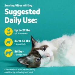 Vibeful Dental Health Chicken Flavored Powder Dental Supplement For Dogs & Cats 15 Vibeful Dental Health Chicken Flavored Powder Dental Supplement For Dogs & Cats -Blue Buffalo Shop 617222 PT5. AC SS1800 V1674656201