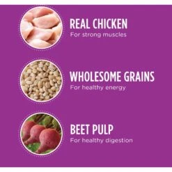 Iams Proactive Health Healthy Aging Large Breed Mature & Senior Formula With Real Chicken Dry Dog Food -Blue Buffalo Shop 61752 PT2. AC SS1800 V1668024168