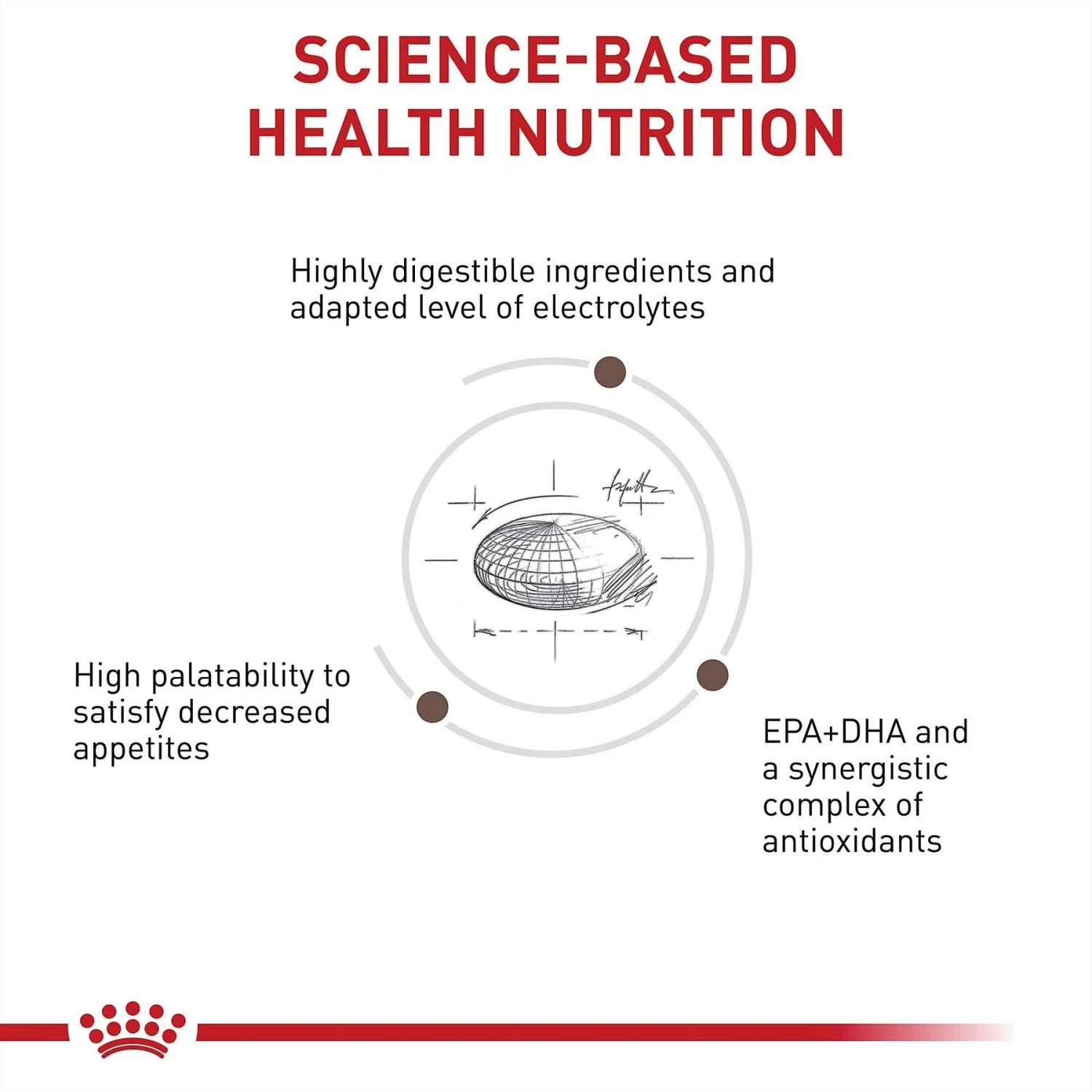 Royal Canin Veterinary Diet Adult Gastrointestinal Moderate Calorie Dry Cat Food 6 Royal Canin Veterinary Diet Adult Gastrointestinal Moderate Calorie Dry Cat Food - Image 4