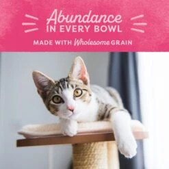 Natural Balance Fat Cats With Chicken Meal, Salmon Meal, Garbanzo Beans, Peas & Oatmeal Dry Cat Food -Blue Buffalo Shop 61829 PT7. AC SS1800 V1522269621