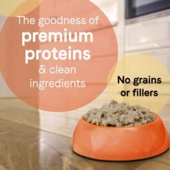 CANIDAE PURE Petite All Stages Small Breed Terrine Style Dinner With Chicken & Peas Wet Dog Food Trays, 3.5-oz, Case Of 12 & CANIDAE PURE Petite All Stages Small Breed Escalloped Style Dinner With Salmon & Shrimp Wet Dog Food Trays, 3.5-oz, Case Of 12 -Blue Buffalo Shop 632486 PT8. AC SS1800 V1663607959