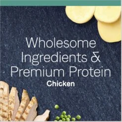 CANIDAE Grain-Free PURE Limited Ingredient Chicken Recipe Dry Cat Food & CANIDAE Grain-Free PURE Limited Ingredient Salmon Recipe Dry Cat Food -Blue Buffalo Shop 632574 PT4. AC SS1800 V1663881023