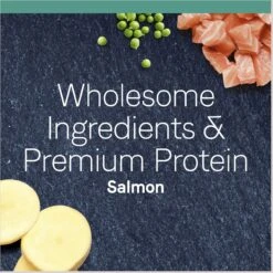CANIDAE Grain-Free PURE Limited Ingredient Chicken Recipe Dry Cat Food & CANIDAE Grain-Free PURE Limited Ingredient Salmon Recipe Dry Cat Food -Blue Buffalo Shop 632574 PT8. AC SS1800 V1663881146