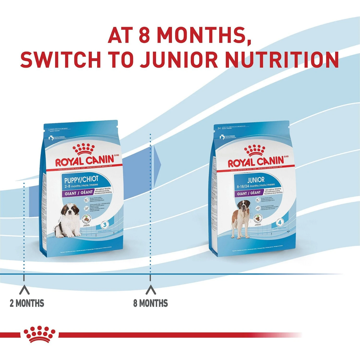 Royal Canin Size Health Nutrition Giant Puppy Dry Dog Food 8 Royal Canin Size Health Nutrition Giant Puppy Dry Dog Food - Image 6