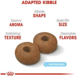 Royal Canin Size Health Nutrition Large Aging 8+ Dry Dog Food -Blue Buffalo Shop 63298 PT3. AC SS1800 V1697212396