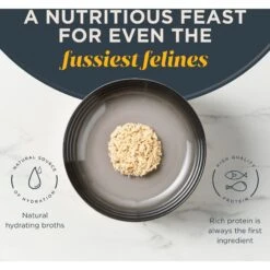 Reveal Natural Grain-Free Chicken Breast In Broth Flavored Wet Cat Food 12 Reveal Natural Grain-Free Chicken Breast In Broth Flavored Wet Cat Food -Blue Buffalo Shop 638070 PT3. AC SS1800 V1663106667