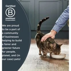 Reveal Natural Grain-Free Chicken Breast In Broth Flavored Wet Cat Food 15 Reveal Natural Grain-Free Chicken Breast In Broth Flavored Wet Cat Food -Blue Buffalo Shop 638070 PT6. AC SS1800 V1663106488