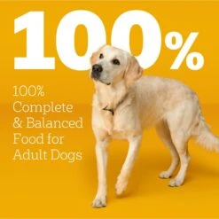 Pedigree With MarroBites Steak & Vegetable Flavor Pieces Adult Dry Dog Food, 36-lb Bag -Blue Buffalo Shop 639222 PT8. AC SS1800 V1662501294