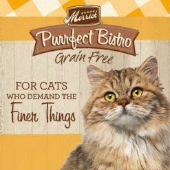 Merrick Purrfect Bistro Grain-Free Real Chicken + Sweet Potato Recipe Adult Dry Cat Food -Blue Buffalo Shop 64301 PT2. AC SS1800 V1638048111