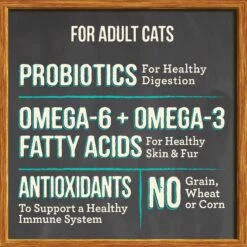 Merrick Purrfect Bistro Grain-Free Real Salmon + Sweet Potato Recipe Adult Dry Cat Food 17 Merrick Purrfect Bistro Grain-Free Real Salmon + Sweet Potato Recipe Adult Dry Cat Food -Blue Buffalo Shop 64304 PT6. AC SS1800 V1638036409