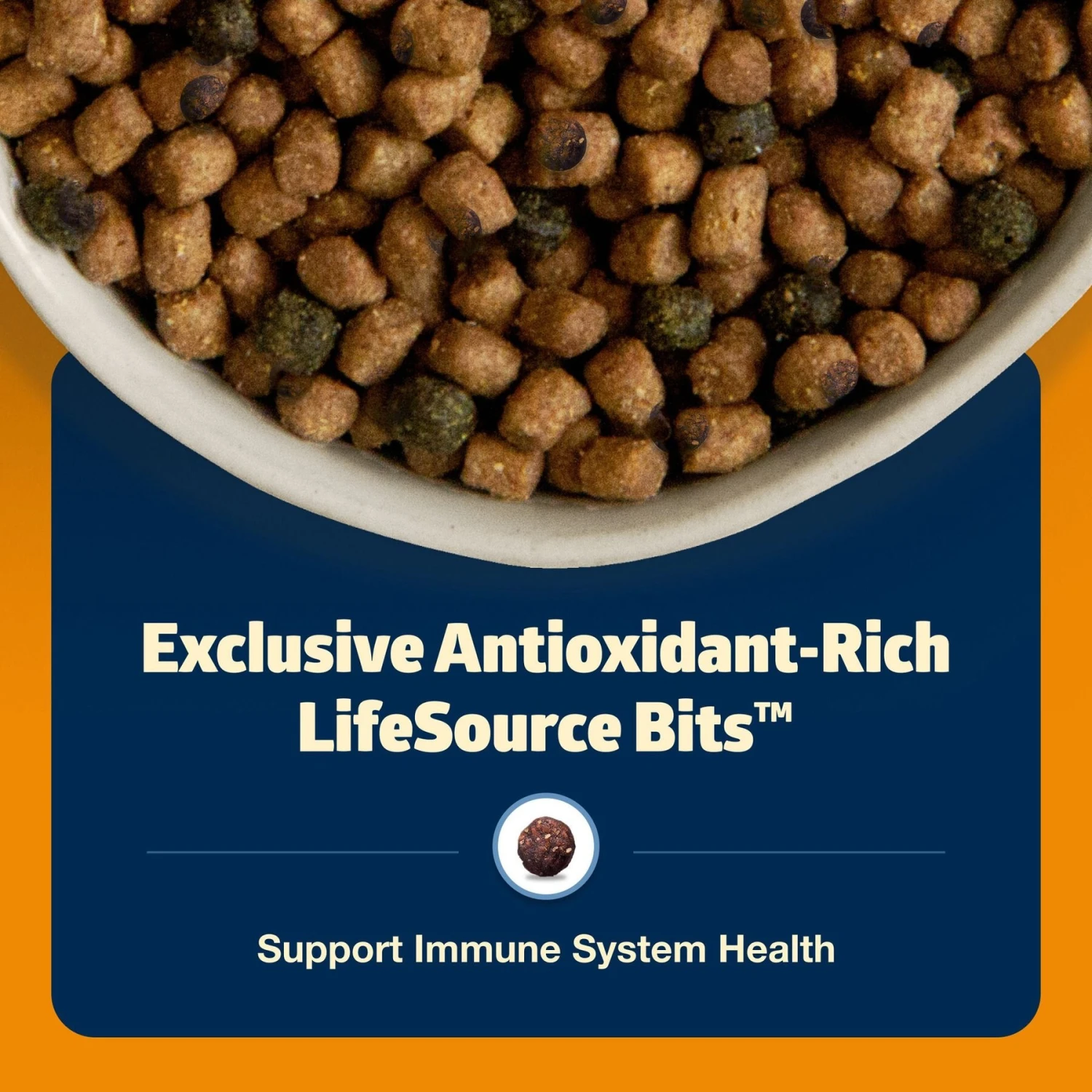 Blue Buffalo Freedom Indoor Weight Control Chicken Recipe Grain-Free Dry Cat Food 8 Blue Buffalo Freedom Indoor Weight Control Chicken Recipe Grain-Free Dry Cat Food - Image 6