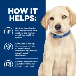 Hill's Prescription Diet Derm Complete Puppy Environmental/Food Sensitivities Rice & Egg Recipe Dry Dog Food, 14.3-lb Bag 16 Hill's Prescription Diet Derm Complete Puppy Environmental/Food Sensitivities Rice & Egg Recipe Dry Dog Food, 14.3-lb Bag -Blue Buffalo Shop 647350 PT5. AC SS1800 V1663712812