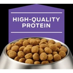 Purina Pro Plan Veterinary Diets DH Dental Health Dry Dog Food -Blue Buffalo Shop 65049 PT3. AC SS1800 V1700158352