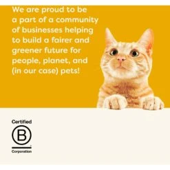 Applaws Chicken Breast Canned Cat Food 15 Applaws Chicken Breast Canned Cat Food -Blue Buffalo Shop 65370 PT6. AC SS1800 V1658151956