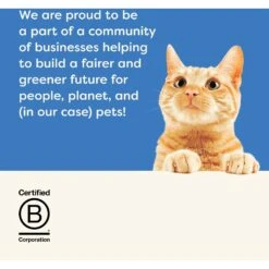 Applaws Ocean Fish Canned Cat Food 15 Applaws Ocean Fish Canned Cat Food -Blue Buffalo Shop 65379 PT6. AC SS1800 V1658152092