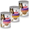 Hill's Science Diet Adult Sensitive Stomach & Skin Chicken & Vegetable Entrée Canned Dog Food + 2 Items -Blue Buffalo Shop 657158 MAIN. AC SS1800 V1665754677
