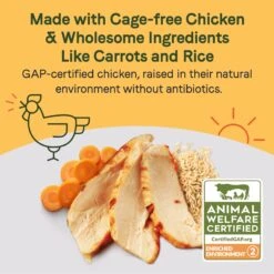 CANIDAE Sustain Bone Broth Toppers Premium Recipe With Cage-Free Chicken Dog Food Topper, 5.5-oz, Case Of 12 11 CANIDAE Sustain Bone Broth Toppers Premium Recipe With Cage-Free Chicken Dog Food Topper, 5.5-oz, Case Of 12 -Blue Buffalo Shop 660534 PT2. AC SS1800 V1664554258