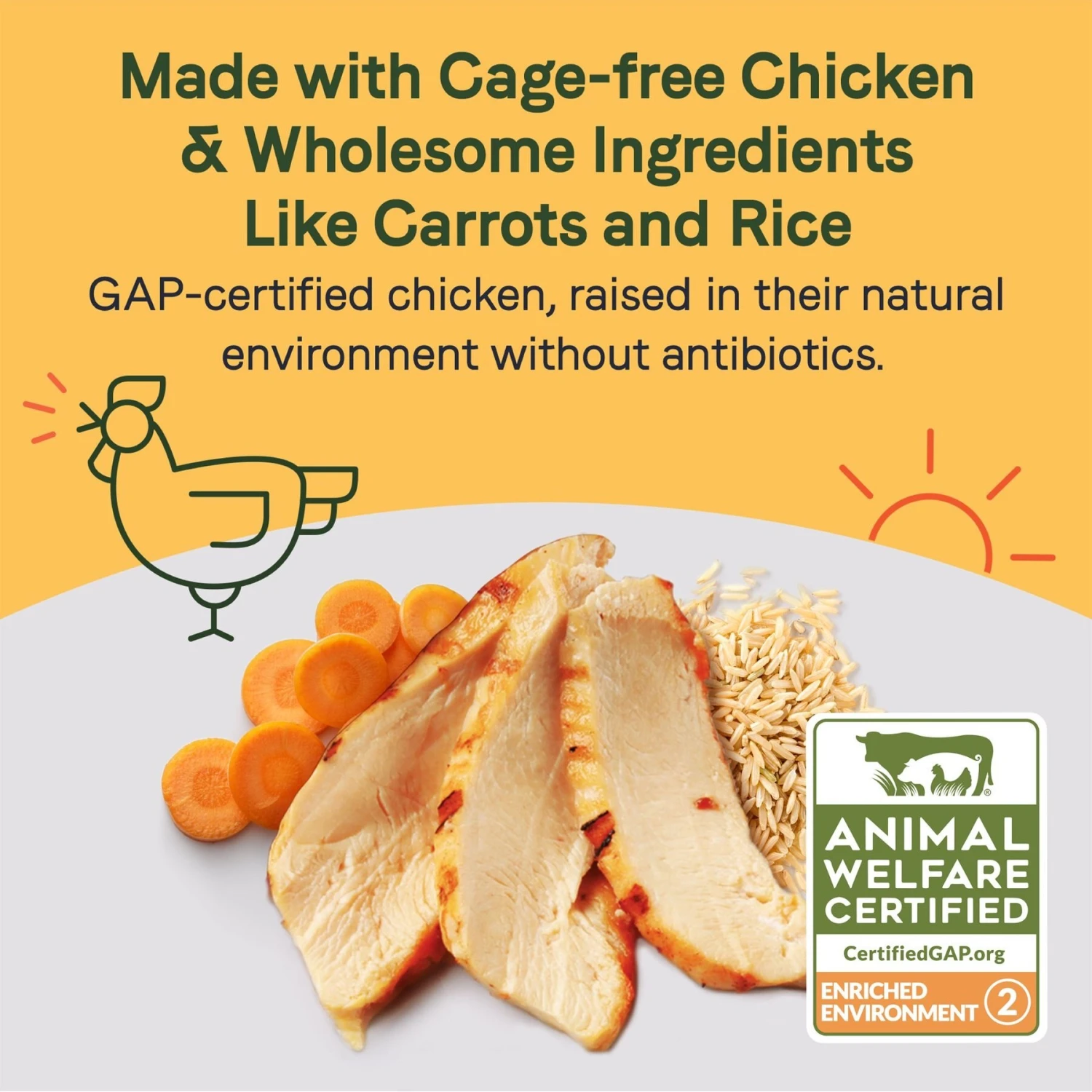 CANIDAE Sustain Bone Broth Toppers Premium Recipe With Cage-Free Chicken Dog Food Topper, 5.5-oz, Case Of 12 5 CANIDAE Sustain Bone Broth Toppers Premium Recipe With Cage-Free Chicken Dog Food Topper, 5.5-oz, Case Of 12 - Image 3