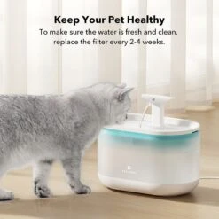 Petlibro PLWF002 Replacement Filters, 8 Count 9 Petlibro PLWF002 Replacement Filters, 8 Count -Blue Buffalo Shop 661174 PT3. AC SS1800 V1665173864