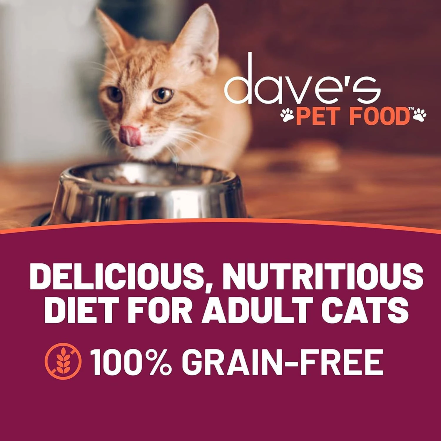 Dave's Pet Food Naturally Healthy Grain-Free Grilled Tuna & Mackerel Dinner In Gravy Canned Cat Food 4 Dave's Pet Food Naturally Healthy Grain-Free Grilled Tuna & Mackerel Dinner In Gravy Canned Cat Food - Image 2
