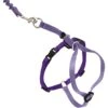 PetSafe Come With Me Kitty Nylon Cat Harness & Bungee Leash -Blue Buffalo Shop 67153 MAIN. AC SS1800 V1671742681