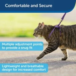 PetSafe Come With Me Kitty Nylon Cat Harness & Bungee Leash -Blue Buffalo Shop 67153 PT2. AC SS1800 V1601010073
